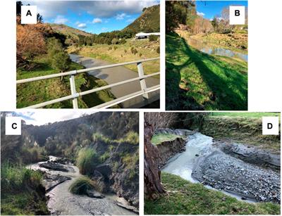 Managing at source and at scale: The use of geomorphic river stories to support rehabilitation of Anthropocene riverscapes in the East Coast Region of Aotearoa New Zealand